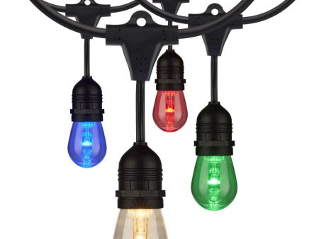 48 Feet LED String Light, 15 S14 bulbs, RGBW and Tunable White Color Changing with Infrared Remote, Indoor Outdoor Online