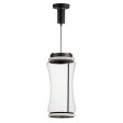 Syndicate 9 in. 2 Lights LED Pendant Light Black Finish For Cheap