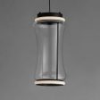 Syndicate 9 in. 2 Lights LED Pendant Light Black Finish For Cheap