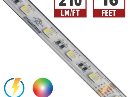 LTR-S Spec LED Strip Light, 16ft Reel, Color Changing RGB + 3000K, 210 Lumens per Ft, 24V For Discount