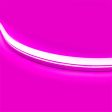 65ft Neon Blaze Flexible LED Lighting, Pink, 24V, Top Bending Online Sale