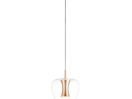 Newton 9 in. LED Pendant Light Gold finish For Discount