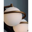 Revolve 27 in. 4 Lights LED Vanity Light Gold Finish Online now