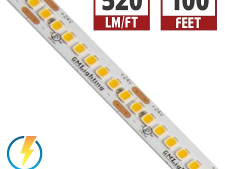 LTR-S Spec LED Strip Light, 100ft Reel, 2700K, 520 Lumens per Ft, 5.8 watts per Ft, 24V For Sale