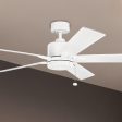 Lucian II 60 Inch Matte White Indoor Ceiling Fan with Pull Chain Supply