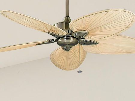 Windpointe 52 Inch Antique Brass and Natural Narrow Oval Blades Ceiling Fan with Pull Chain Online